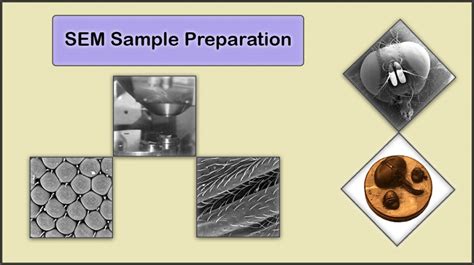 testing for all drop off|Sample Return Options .